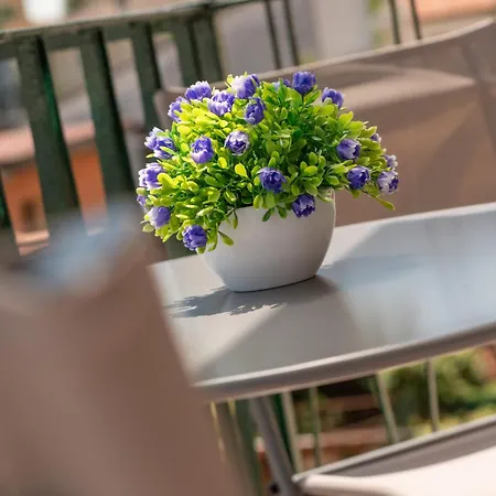 Attico Vintage 10min Da Arena