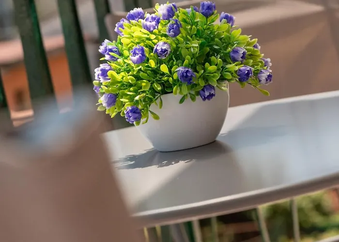 Attico Vintage 10min Da Arena